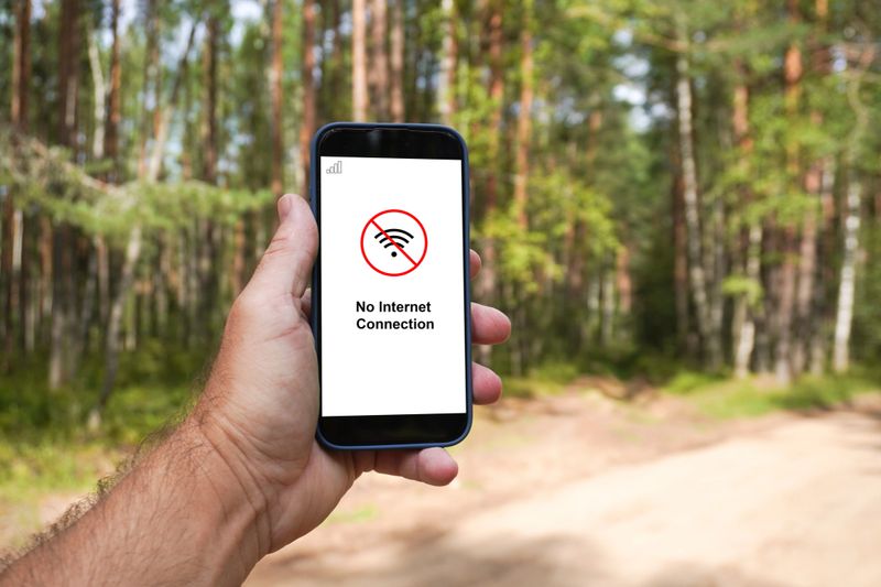Hand is holding smartphone with no internet connection in forest, displaying disconnection from network