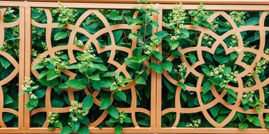 Decorative beige fence with green leafy plants growing through it.