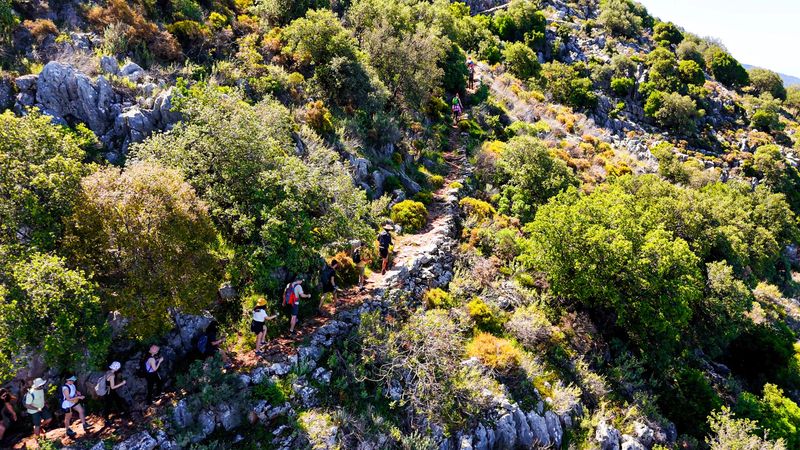 This image captures a group of hikers trekking along a scenic portion of the Lycian Way near Fethiye in southwestern Türkiye. The trail winds through rugged mountain landscapes, with stone walls and natural rock formations lining the path. The lush Mediterranean flora provides a vibrant green backdrop under a clear blue sky. As one of the most famous long-distance hiking routes in the region, the Lycian Way offers both cultural insight into ancient Anatolian civilizations and breathtaking views for outdoor and adventure enthusiasts. The image reflects themes of eco-tourism, historical exploration, and healthy lifestyle.