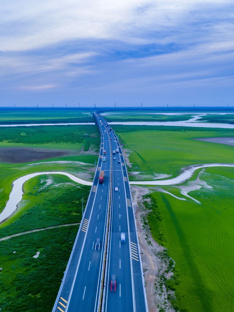 Highway passing through green wetland landscape
