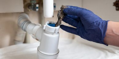 Hand removing debris from a drain trap.