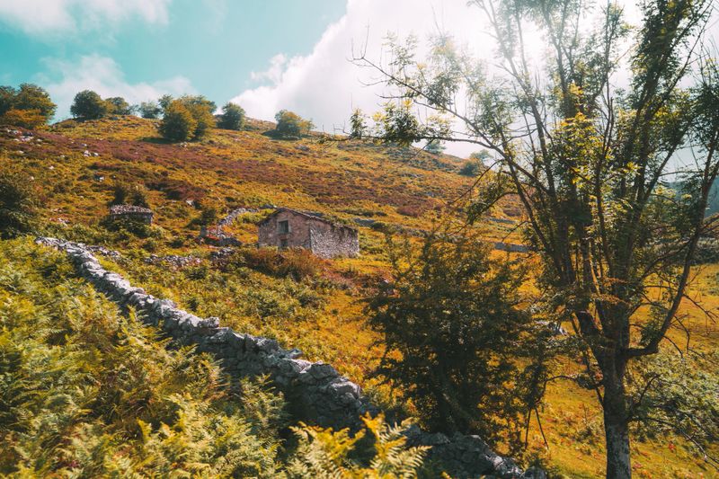 Sunny hillside in Asturias, Spain, with vibrant green and golden autumn vegetation, old stone house, dry-stone walls, and scattered trees under a bright blue sky with clouds