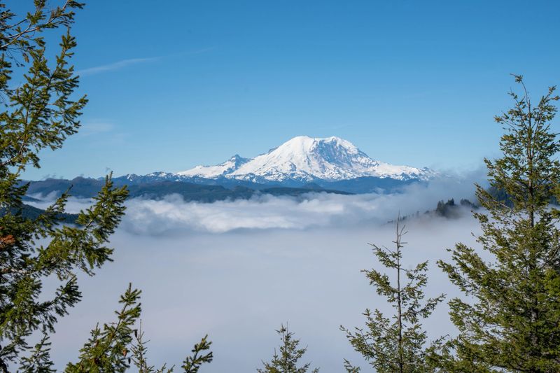A view of Mt Rainier sitting above the clouds. Photo was taken on the Kelly Butte Lookout Trail in the Cascade Mountains of Washington State.