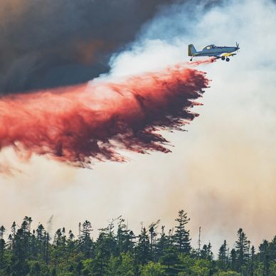 fire retardant spray