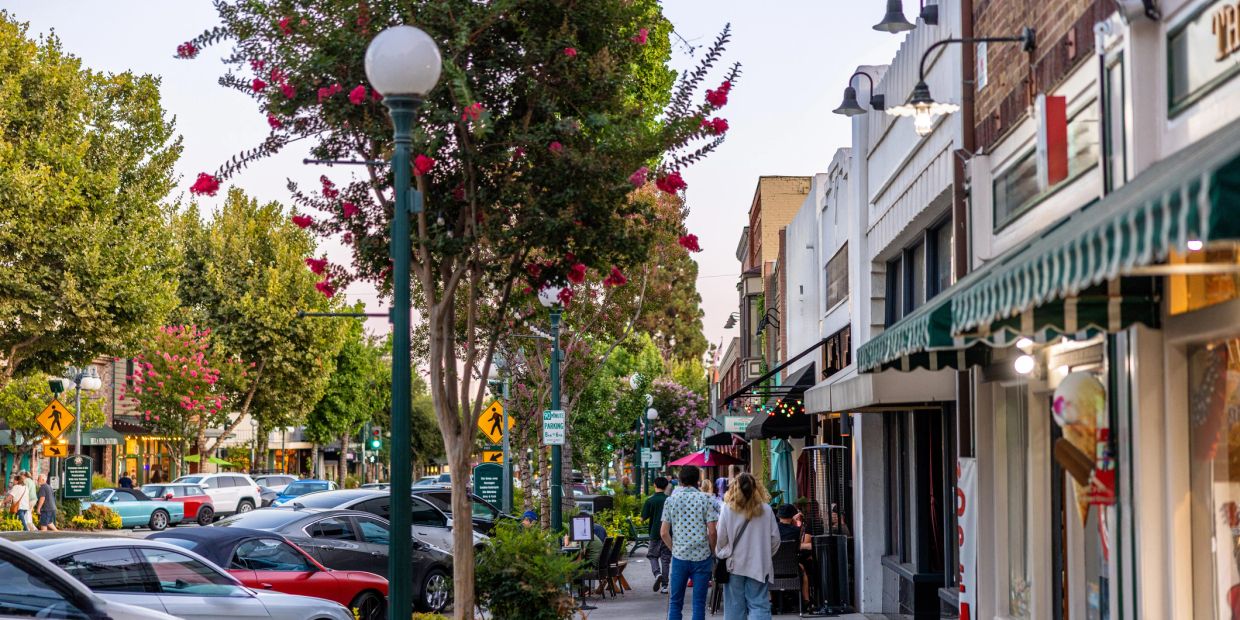 Street scene with blooming trees and pedestrians.