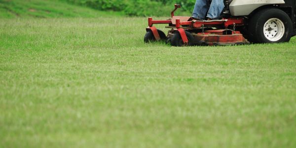 Riding lawn mower cutting green grass.