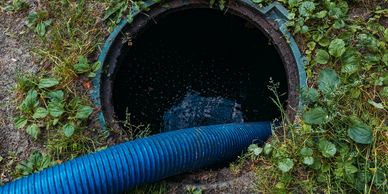 A blue hose inserted into a dark manhole surrounded by greenery.