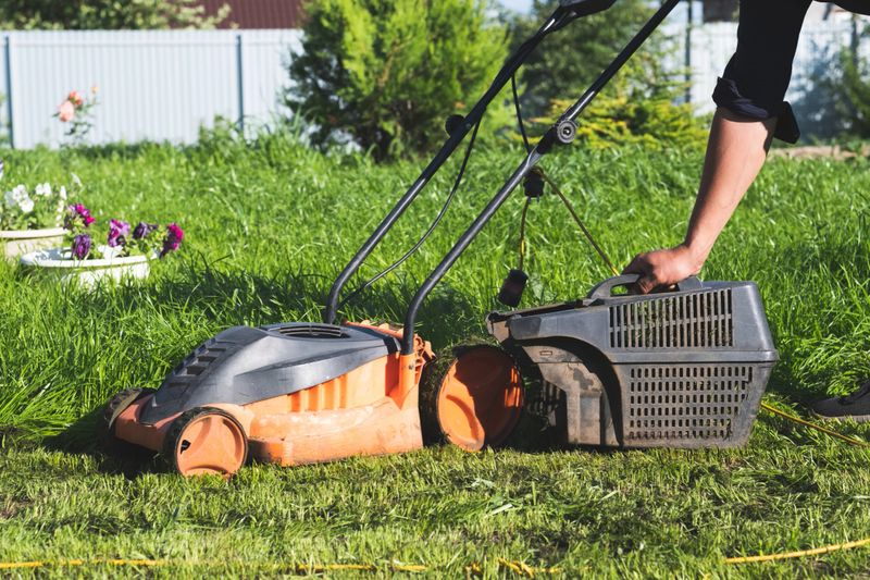 An individual is utilizing an electric lawn mower to meticulously maintain a vibrant and lush green lawn space