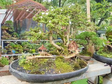 Miniature bonsai landscape with tiny huts and bridge.