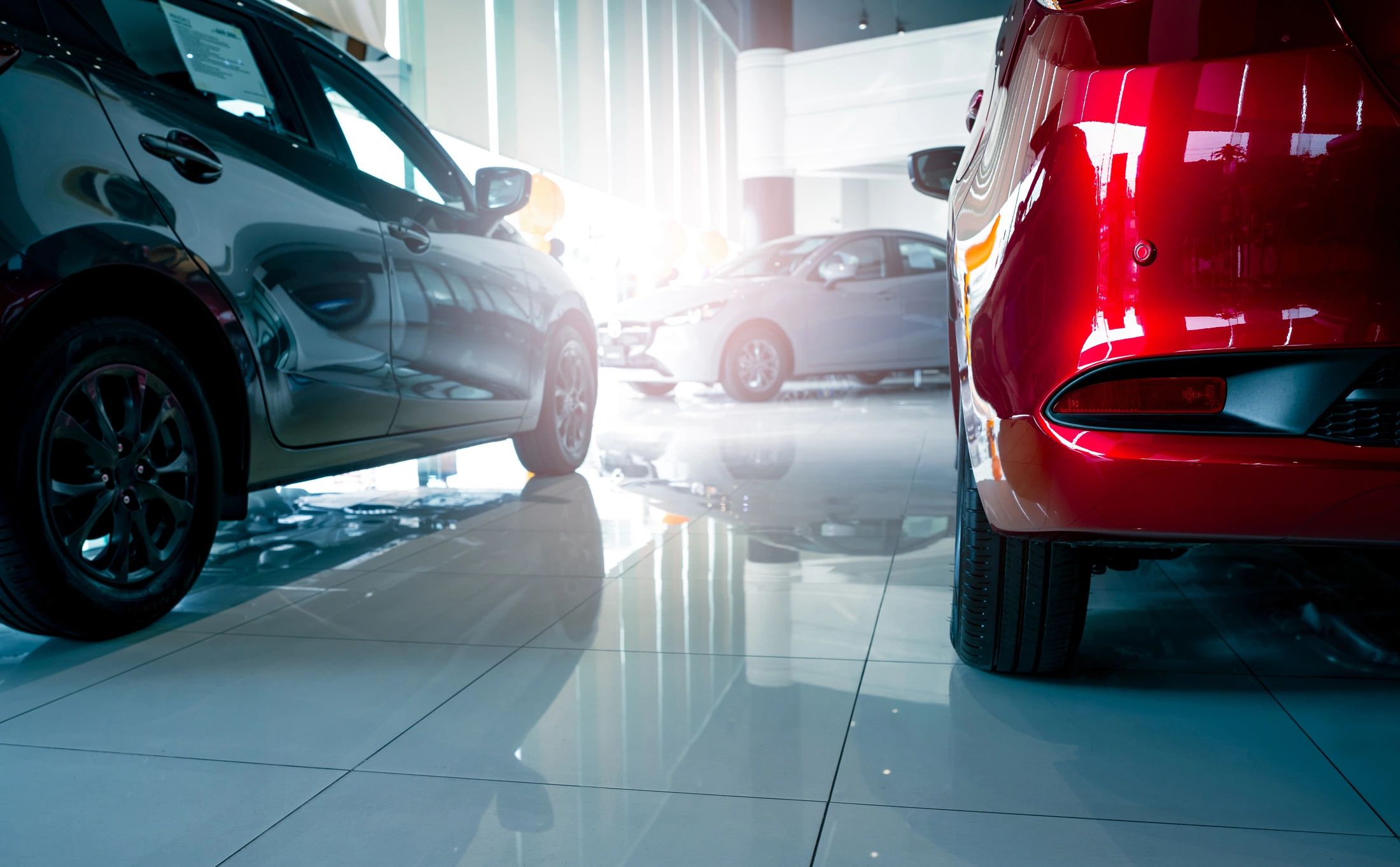 Cars displayed in a bright showroom.
