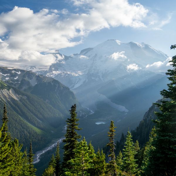 Snow-covered mountain with forest and river.