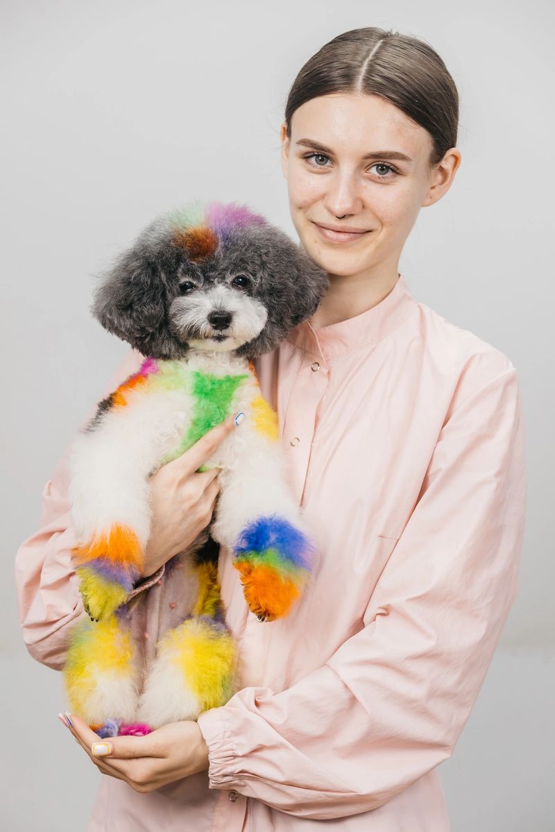 Colorful poodle groomed with rainbow fur is held by a smiling woman in a light pink blouse, showcasing creative grooming techniques and vibrant pet styling in a bright indoor setting