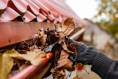 Hand cleaning leaves from a gutter.