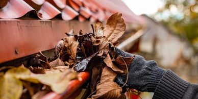 Hand with glove cleaning dry leaves from a red gutter.