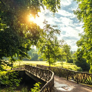 Sunlit wooden bridge in a green park.