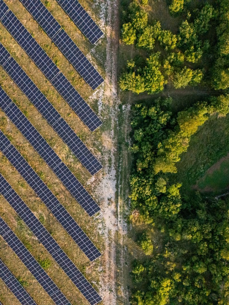 Drone shot showing rows of solar panels installed on grassy land beside dense green forest. Renewable energy technology meets natural landscape in this sustainable environment. Solar power and nature.