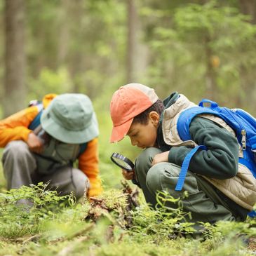 Kids exploring nature with magnifying glass in forest.