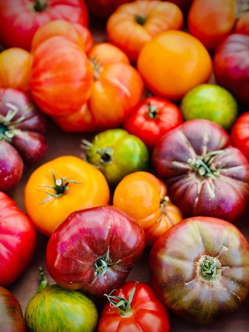 A close-up image of vibrant, multicolored heirloom tomatoes for sale and on display at a local farmers market.