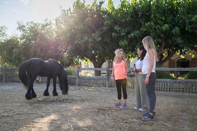 Three female therapists are observing a black horse during an equine-assisted therapy session, utilizing the horse's behavior and interactions as a tool for emotional growth and healing