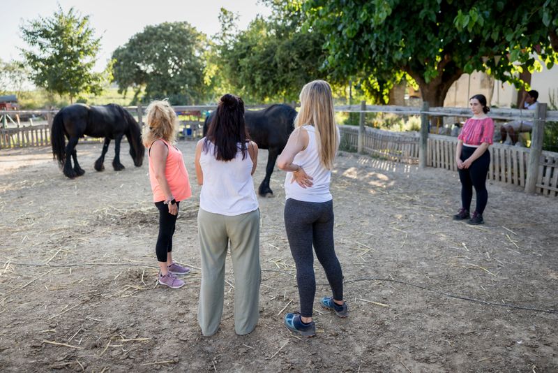Women participating in equine-assisted therapy, standing with Friesian horses in paddock, engaging in healing interaction through animal-guided counseling