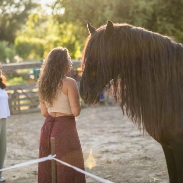 Woman interacting with a long-haired horse outdoors.