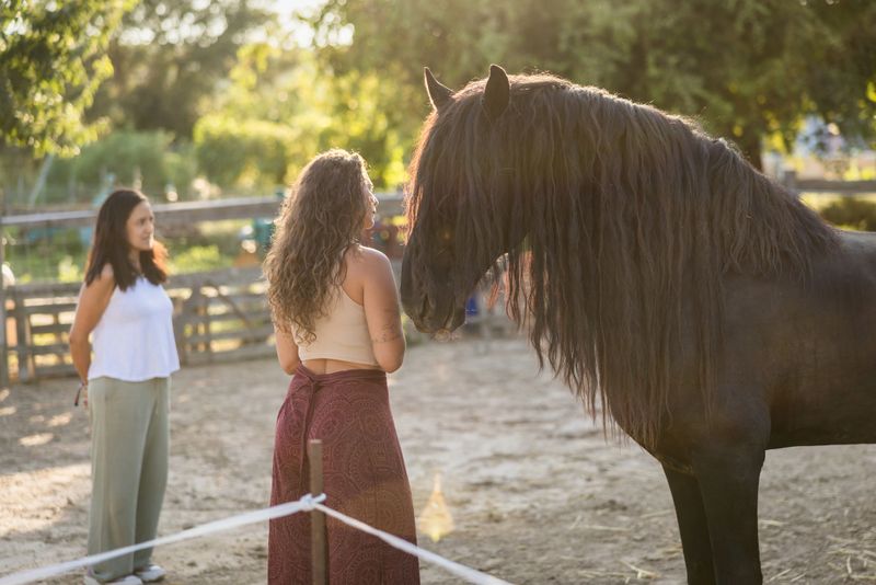 Female therapists observing young woman connecting with horse during equine-assisted therapy session, supporting psychological healing and personal development