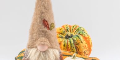 Autumn gnome with pumpkins.
