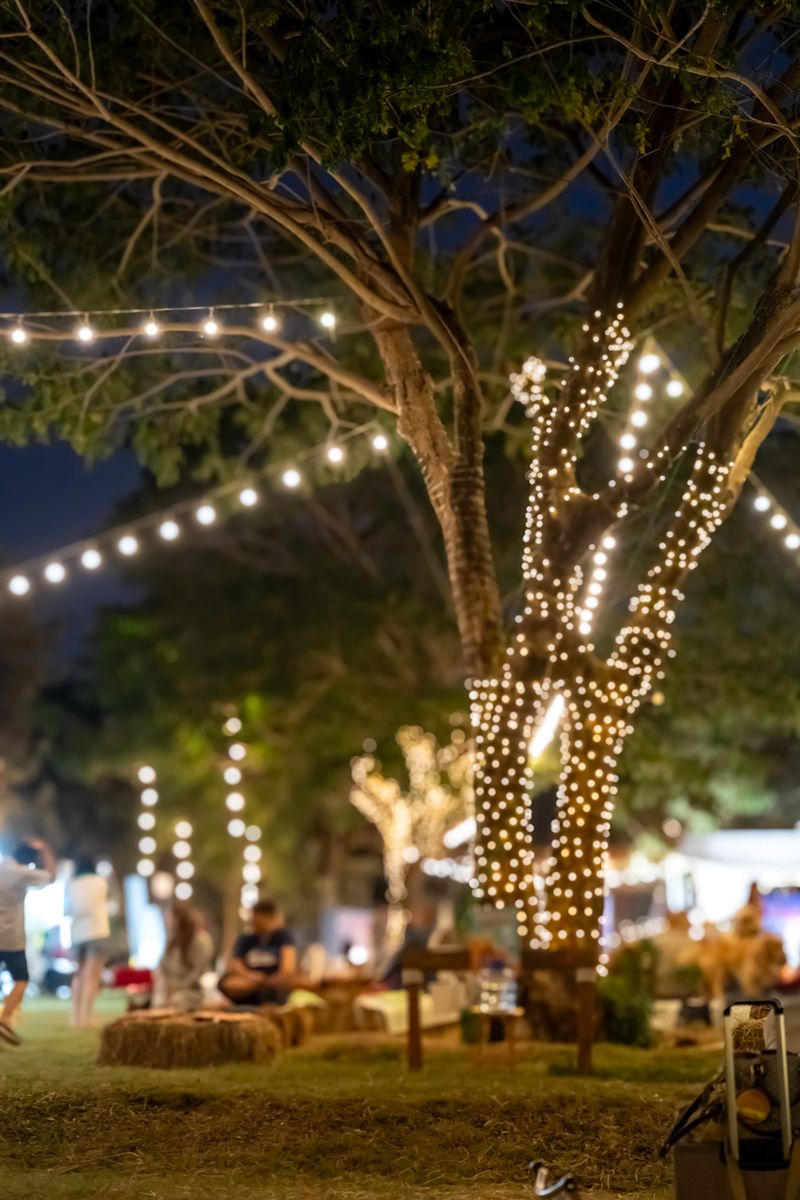 blurred background of party night with light in the park