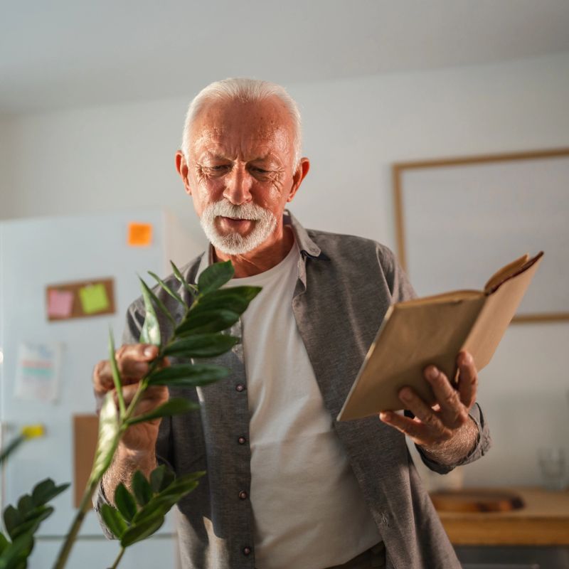 Happy retired man learning about houseplant care from gardening book, enjoying his hobby at home, promoting active seniors and lifelong learning