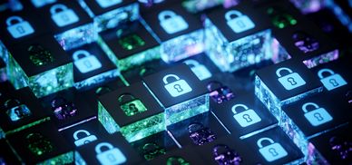 Cybersecurity & Data Protection