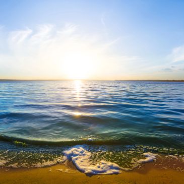 Sunrise over a calm ocean with gentle waves touching the sandy beach.