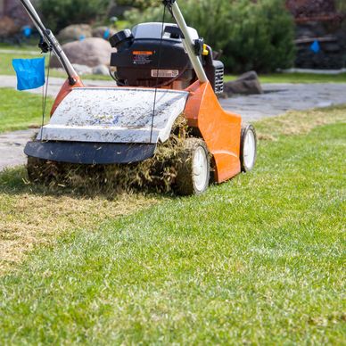 A lawn mower cutting grass in a garden.