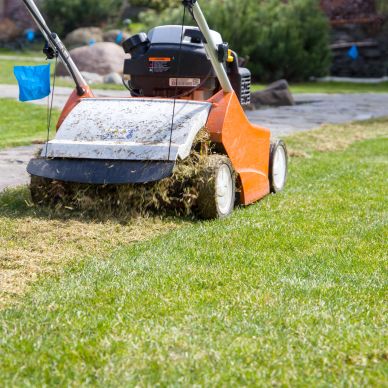 A lawn mower cutting grass in a garden.