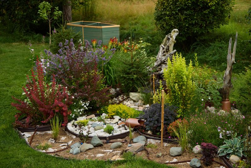 A beautifully serene garden that showcases a diverse array of lush plants, decorative stones, and a peaceful atmosphere