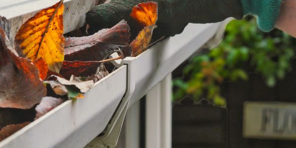 Gutter cleaning
