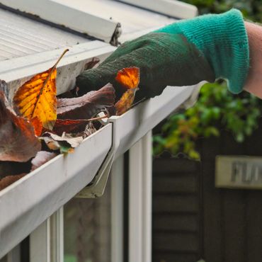 Hand with green glove clearing leaves from a gutter.