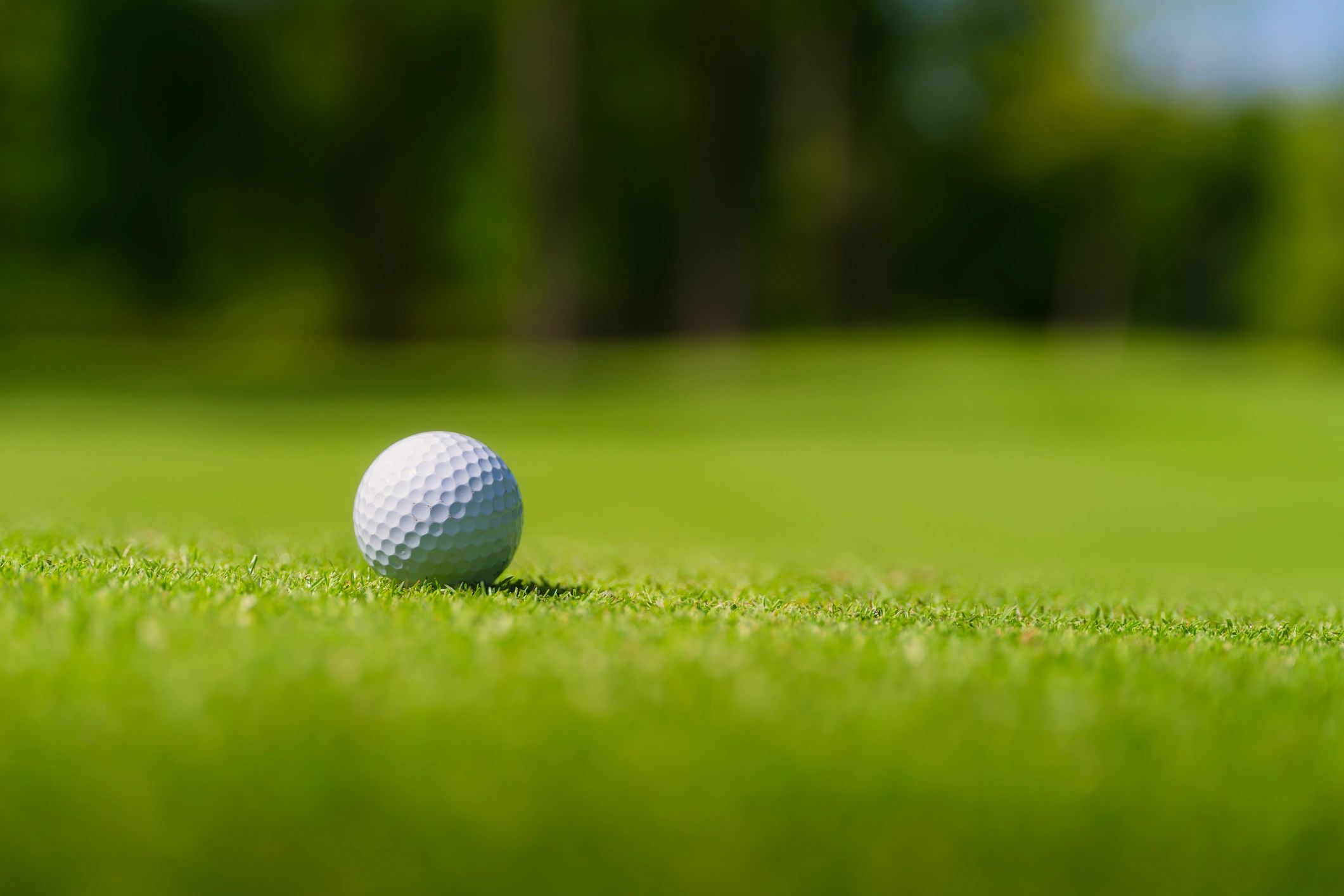 Accuracy Golf Inc