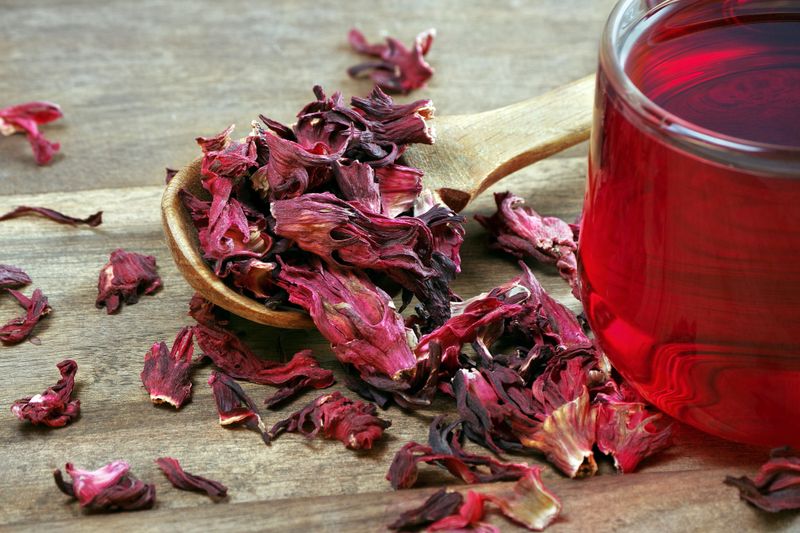 hibiscus tea. dry hibiscus petals in a wooden spoon on a wooden table. herbal vitamin tea. cold and flu remedy. close up.