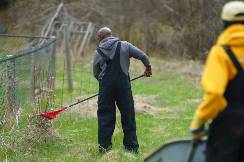 A scene of two individuals performing yard work together, highlighting collaboration in outdoor gardening activities, with a rake and wheelbarrow visible in a natural green environment.