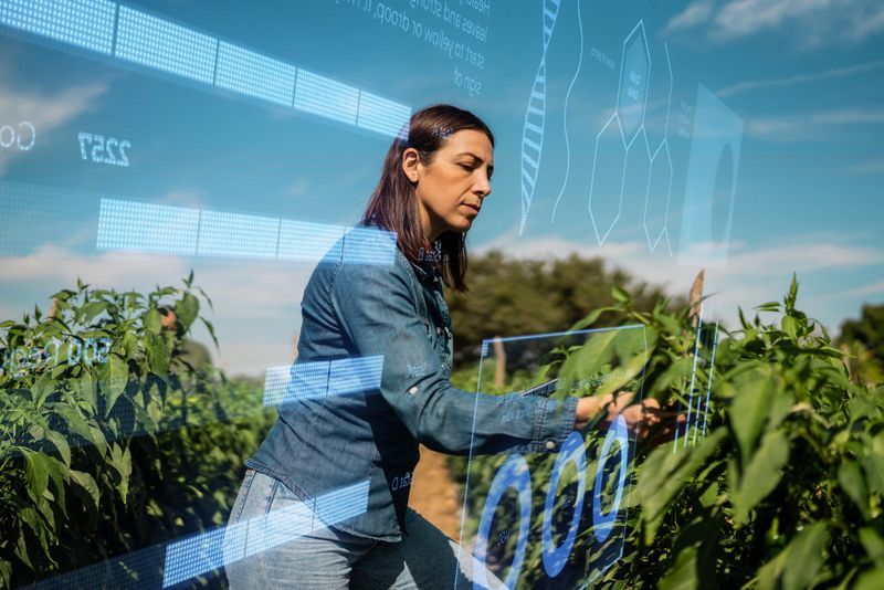 Mid adult agronomist woman using digital tablet and analyzing data on augmented reality at agricultural field