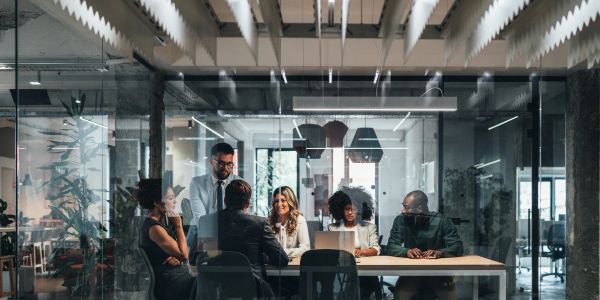 A diverse group of professionals in a modern office meeting room.