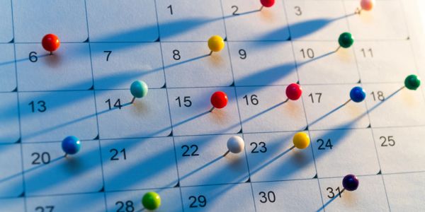 Colorful push pins marking dates on a calendar casting long shadows.