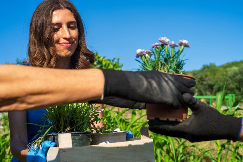 Close-up view of people exchanging potted plants in a community garden, symbolizing cooperation, sustainability, and care for the environment. A smiling young woman observes the teamwork, embodying the spirit of collaboration and eco-friendly living.