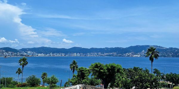 City skyline across a calm bay with trees in the foreground.