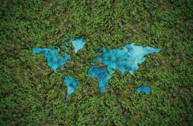 World map carved into forest with blue water filling continents.