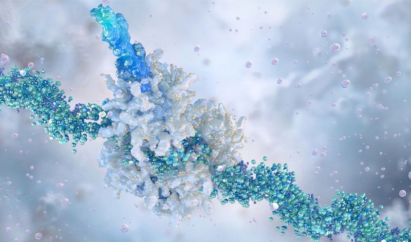 mRNA strand carrying genetic code. Cellular translation process with ribosome synthesizing protein chain from mRNA information. Gene expression, rna, molecular biology science research, scientific 3D illustration