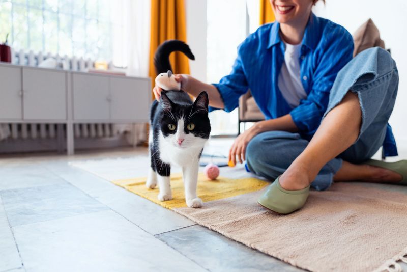 A happy woman interacts with her black and white tuxedo cat indoors, emphasizing companionship and relaxation in a cozy, modern setting bathed in natural sunlight.