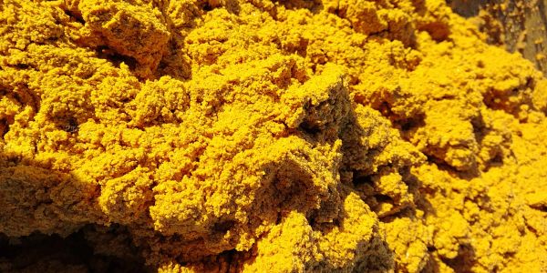 Nizamabad Yard showcasing premium quality turmeric from Telangana, India with high curcumin content and export readiness.