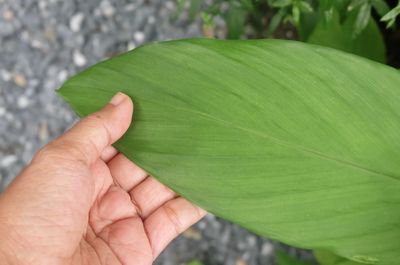 Comprehensive sexual wellness care integrating preventive screening, hormonal evaluation, HIV preven