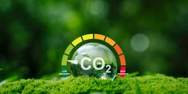 Clear globe on moss with CO2 emission gauge from low to high.